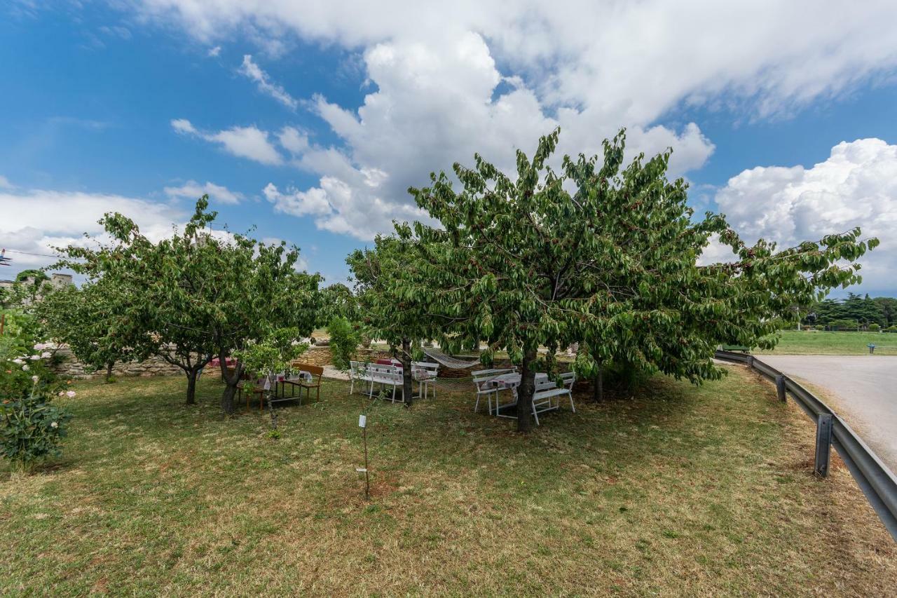 Apartments Mijat Novigrad Istria Eksteriør bilde