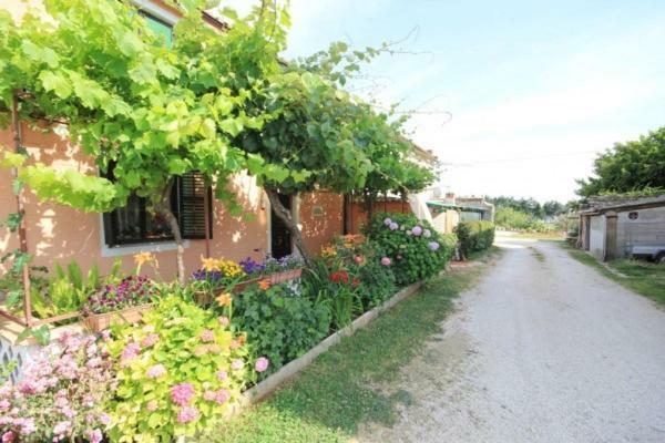 Apartments Mijat Novigrad Istria Eksteriør bilde